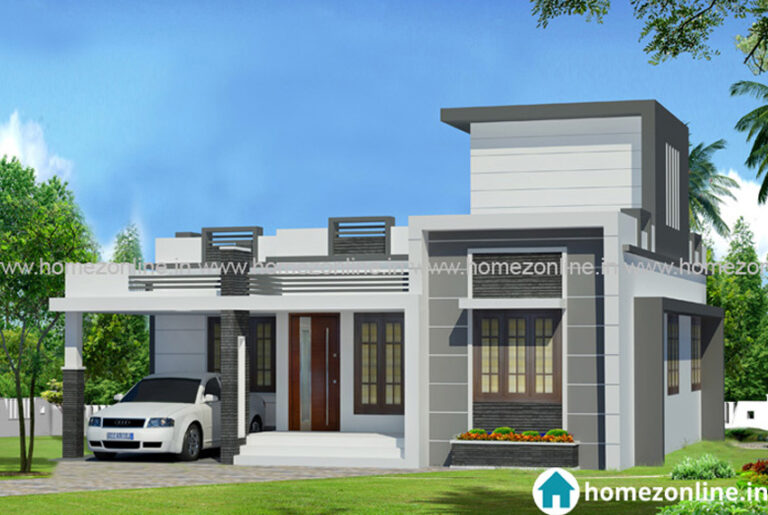 Amazing single floor home design